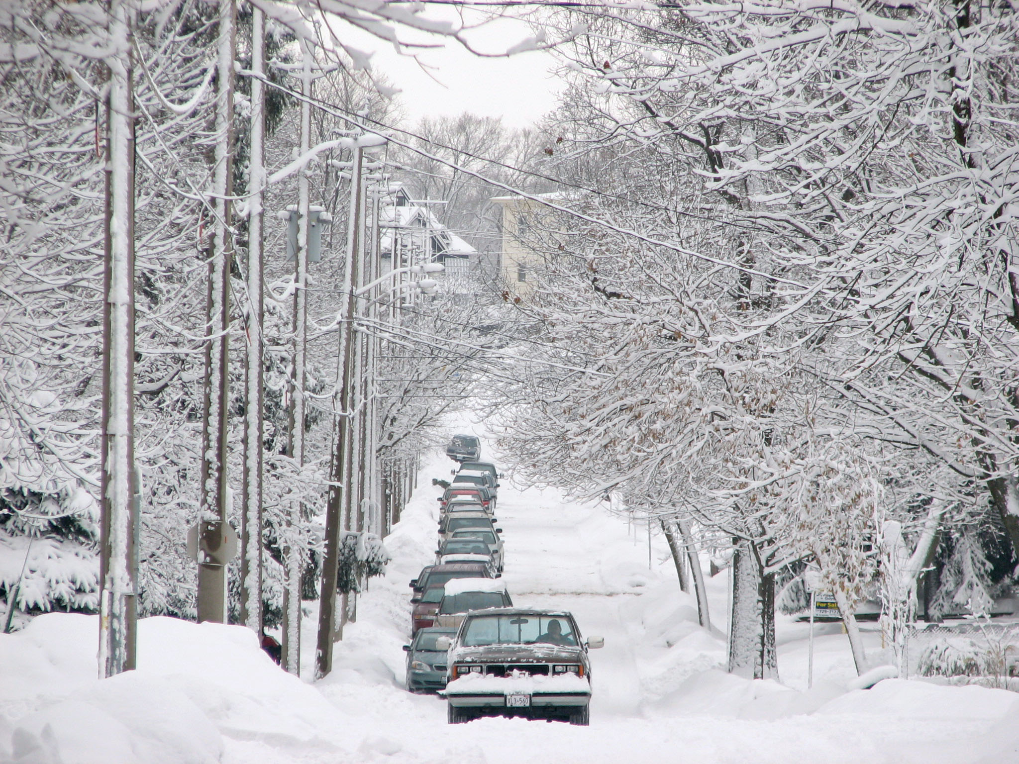 A long line of cars on a snow covered street in a town. Taken By Glenn Simmons
